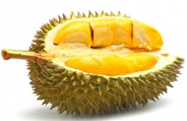 Durian Malaysia jadi Primadona Pesta Belanja di China 