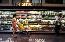 Impor Konsumsi Sumsel Melonjak, Makanan Hewan hingga Sayuran Mendominasi