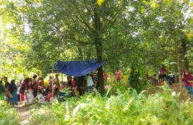 BNPB: Sejumlah Rumah Warga Rusak Akibat Gempa M6,1 di Maluku