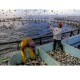 Geopolitik Industri Seafood & Kesiapan Perikanan RI