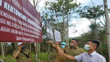 Lahan Dikuasai Warga, PTPN XII Kehilangan Pendapatan Rp54 Miliar