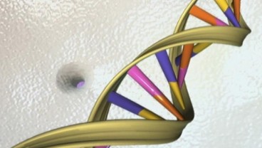 Pemerintah Upayakan Percepat Proses Whole Genome Sequencing, Apa Fungsinya?