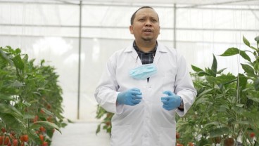 Sukseskan Petani Milenial, Agro Jabar Siapkan Strategi Khusus