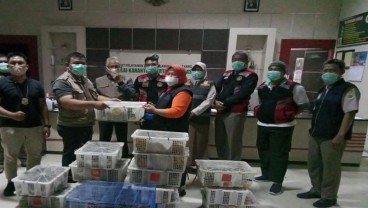 Ratusan Ekor Burung di Balikpapan Gagal Diselundupkan 