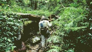 Jangan Salah, Ini Bedanya Trekking dan Hiking