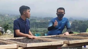 Pesona Kopi Temanggung Tarik Antusiasme Milenial