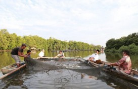 BI Dorong Kemandirian Masyarakat Kembangkan Budi Daya Ikan Mujair