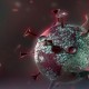 LIPI Laporkan 44 Kasus Virus Variant Delta di Karawang 