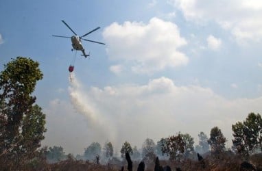 Atasi Karhutla, BPBD Riau Terbangkan 2 Helikopter Bom Air