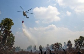 Atasi Karhutla, BPBD Riau Terbangkan 2 Helikopter Bom Air
