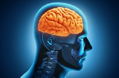 4 Suplemen Terbaik untuk Asupan Otak