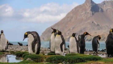 6 Pulau Tersembunyi yang Paling Menakjubkan di Dunia