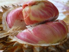 Jaga Tekanan Darah hingga Kesehatan Tulang, Ini 7 Manfaat Buah Durian