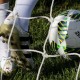 Kick-off Liga 1 Ditunda, Belum Ada Opsi Digelar di Luar Jawa