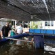 Jaga Ekosistem Waduk, Wakil Kepala BP Batam Tebar Benih Ikan di Waduk Sei Ladi