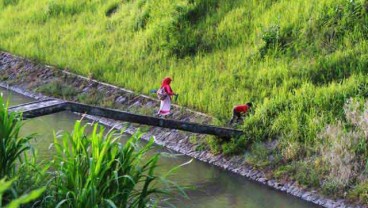 Irigasi Teknis Layani 53.800 Hektare Lahan di Jateng