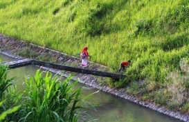 Irigasi Teknis Layani 53.800 Hektare Lahan di Jateng