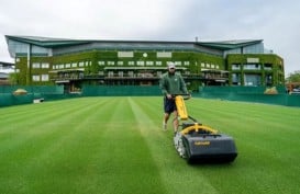 Lapangan Tenis Wimbledon Makan 2 Korban, Ini Respons Penyelenggara