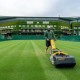 Lapangan Tenis Wimbledon Makan 2 Korban, Ini Respons Penyelenggara
