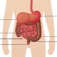 Tips Tingkatkan Kesehatan Usus Pasca Sembuh Covid-19