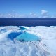 Antartika Cetak Rekor Suhu Terpanas yang Baru