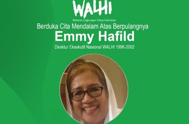 Politisi Nasdem dan Pegiat Lingkungan, Emmy Hafild Meninggal Dunia