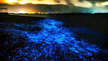 Unik, Ini 9 Destinasi Wisata 'Glow in The Dark' di Dunia