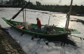  Survei KNTI: Ekonomi Nelayan Membaik di Tengah Pandemi. Ini Sebabnya