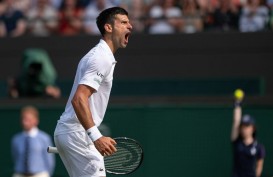 Djokovic ke Final Wimbledon Lawan Berrettini Usai Kalahkan Shapovalov