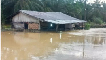 Banjir di Aceh Jaya Meluas, Hujan Lebat Diprediksi Sampai 13 Juli