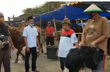 Permintaan Hewan Kurban Diprediksi Turun 10 Persen Tahun ini   
