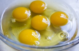 Telur Jadi Resep Andalan untuk Pasien Positif Covid-19, Ini Alasannya