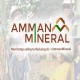 PEMBANGUNAN SMELTER AMMAN MINERAL : Lelang EPC Segera Rampung