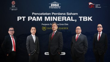 Ingin Topang Industri Kendaraan Listrik, PAM Mineral (NICL) Terus Cari Cadangan Nikel Baru