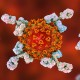 Kabar Baik, Ilmuwan Temukan Antibodi yang dapat Melawan Covid-19