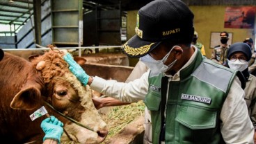 PPKM Darurat Dilanjut, Bupati Bandung Minta Pemotongan Hewan Kurban di RPH