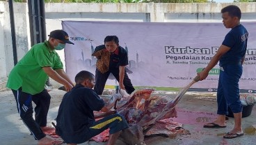 Iduladha 2021, Pegadaian Kanwil Pekanbaru Potong 5 Ekor Sapi