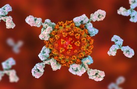 Studi Thailand Bandingkan Antibodi yang Dihasilkan CoronaVac dan Pasca Infeksi Covid-19