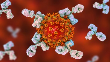 Studi Thailand Bandingkan Antibodi yang Dihasilkan CoronaVac dan Pasca Infeksi Covid-19