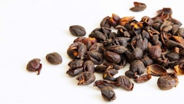 Wow, Teh Kopi Ini Bisa Turunkan Berat Badan dan Menambah Energi Lho