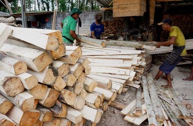 Ekspor Produk Kayu RI ke India Lolos dari Tuduhan Dumping