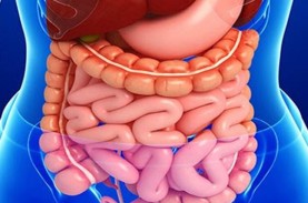 Ini Dia Detoks yang Tepat Agar Pencernaan Anda Sehat
