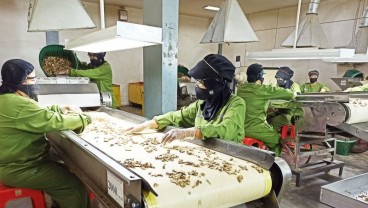 Sido Muncul (SIDO) Akan Bagikan Saham Bonus, Simak Persyaratannya