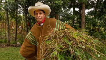 Presiden Castillo Tunjuk Tokoh Partai Marxist Jadi Perdana Menteri Peru