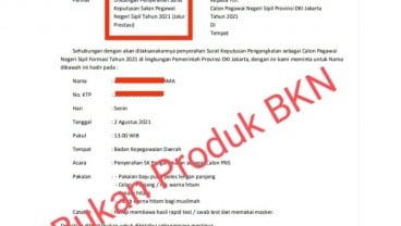 Ada Disinformasi soal CASN 2021, BKN: Sudahi Percaya Info Sumber Tak Jelas