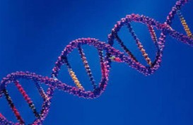 Faktor Genetik dan Epigenetik Bisa Sebabkan Keparahan Covid-19
