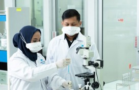 Industri Farmasi Indonesia Sulit Berkembang, Begini Ceritanya...