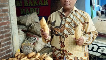 Nasib Petani Tembakau dan Kesejahteraannya 