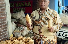 Nasib Petani Tembakau dan Kesejahteraannya 