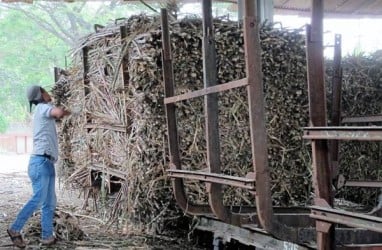 Pabrik Gula PTPN XIV Targetkan Produksi 308.000 Ton